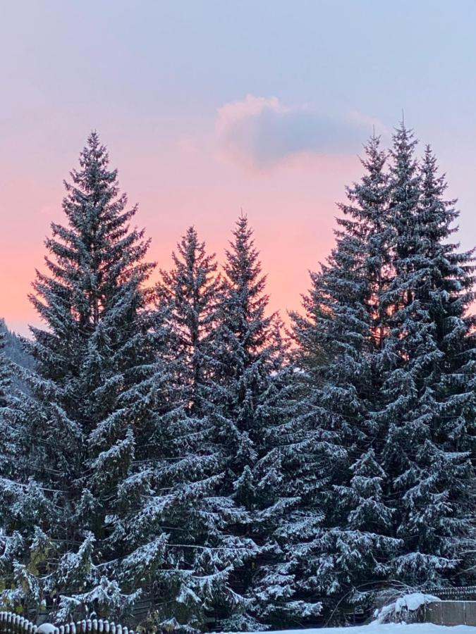 Calore Di Una Casa Di Montagna กัมปีเตลโลดีฟัสซา ภายนอก รูปภาพ